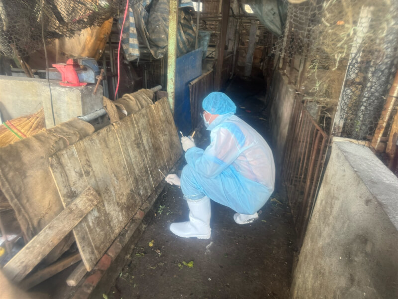 圖為台中市政府26日派員到梧棲染疫養豬場,進行環境樣本的採檢。(非洲豬瘟中央前進應變所提供)中央社記者趙麗妍傳真 114年10月27日