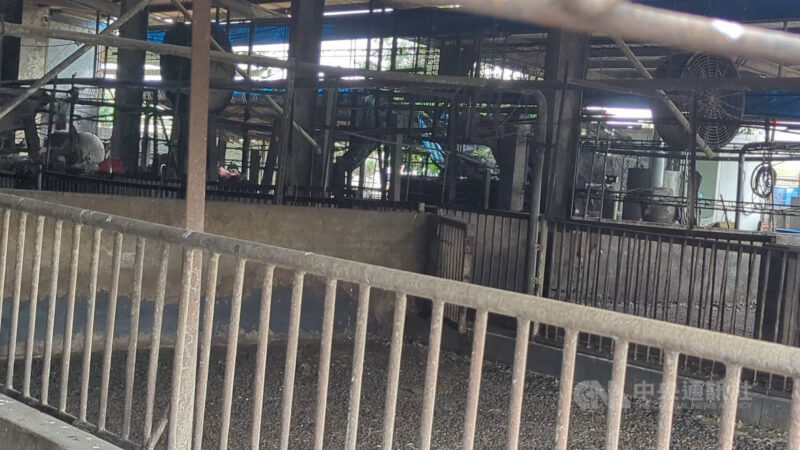 圖為台中梧棲驗出非洲豬瘟的養豬場,場內豬隻已全數撲殺。(中央社檔案照片)