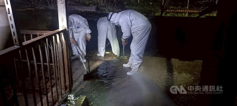 台中非洲豬瘟案場清消後,2區域仍驗出病毒DNA;台中市長盧秀燕28日在市政會議中表示,農業局已派員前往現場連夜清消到凌晨,並全面封鎖。中央社記者郝雪卿攝  114年10月28日