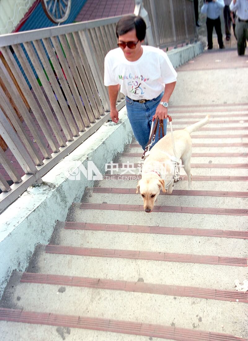 導盲犬雅琪協助主人柯明期上下樓梯。中央社記者黃旭昇攝 85年11月1日