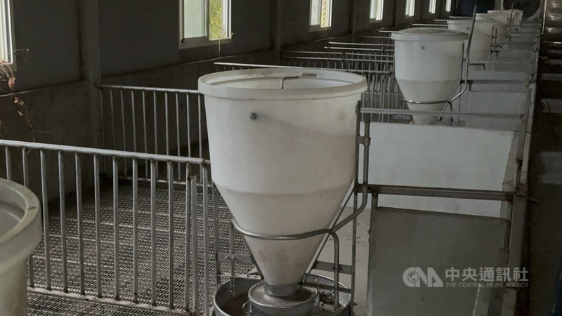 「農場晃晃」最新豬舍的基本標配有2道門鎖、水簾式、高床式設備,還有自動化飼料系統,最新一代的豬舍採中央空調,豬舍內部溫度舒適,定時定量餵養。 中央社記者姜宜菁攝 114年10月29日