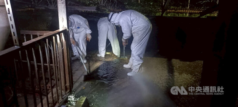 台中非洲豬瘟案場清消後,2區域仍驗出病毒DNA;台中市長盧秀燕28日在市政會議中表示,農業局已派員前往現場連夜清消到凌晨,並全面封鎖。中央社記者郝雪卿攝  114年10月28日