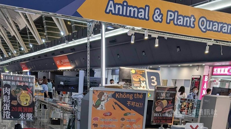 防堵非洲豬瘟入侵台灣,2019年2月起入境旅客分為疫區與非疫區,由航空公司發放識別卡,區別紅、綠線。來自疫區國家的旅客,必須經過X光機檢查後,才能繼續通關入境。中央社記者曾以寧攝 114年10月30日