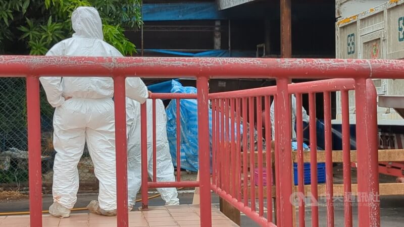 台中一處養豬場死亡豬隻驗出非洲豬瘟,防疫人員進駐清消。(中央社檔案照片)