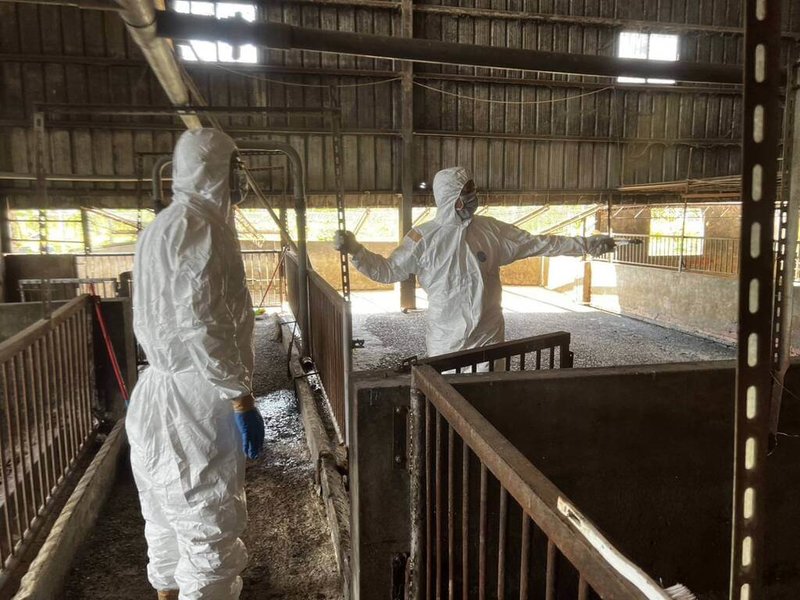 台中養豬場出現非洲豬瘟,國軍10月31日前進案例場完成清消,預計靜置數天後,3日會再前往採檢。(台中市府提供)中央社記者蘇木春傳真 114年11月1日