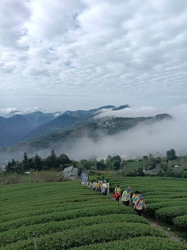 民眾何美月2日參加秋遊嘉鄉活動,與家人一同徜徉壯麗山景、茶園與雲海,直呼「超讚的」。(何美月提供)中央社記者蔡智明傳真 114年11月2日