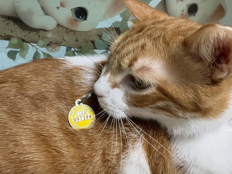 新北市動保處表示，飼主即日起至114年底前帶毛寶貝施打狂犬病疫苗，並於動保處粉絲專頁貼文處分享毛寶貝與114年狂犬病頸牌合照，可抽新北幣500點。（動保處提供）中央社記者王鴻國傳真　114年11月5日