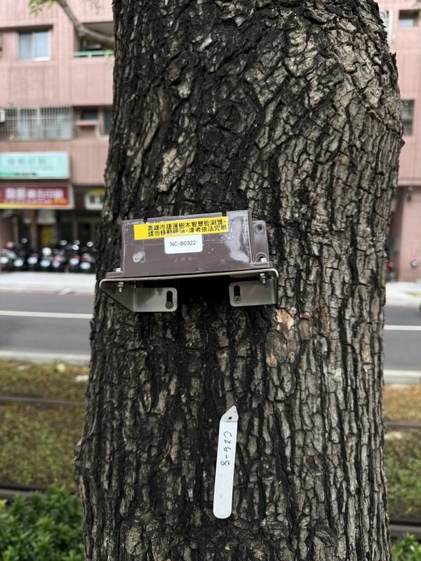 高雄捷運工程局在輕軌沿線路樹導入AI智慧監測樹木傾斜儀設備，即時監測樹木傾斜情形，提升安全性。（高雄市捷運工程局提供）中央社記者林巧璉傳真　114年11月5日