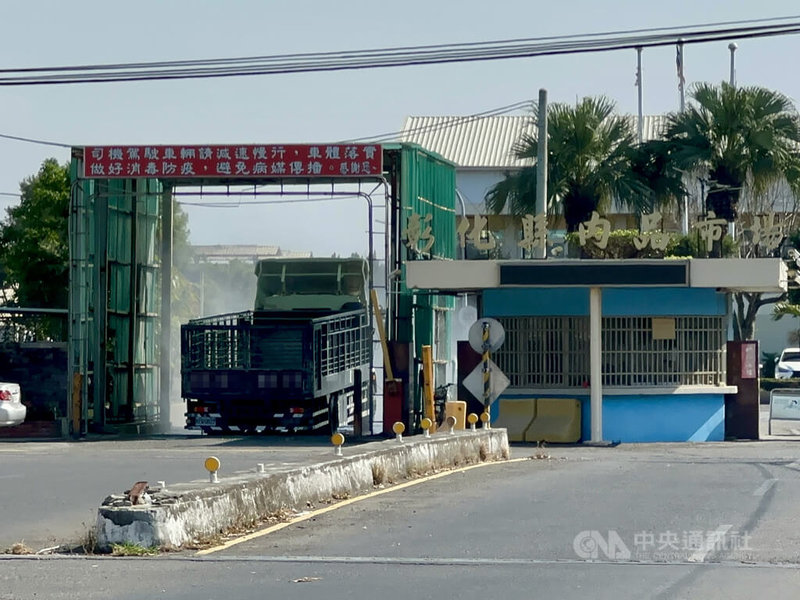 農業部5日宣布,活豬6日中午12時後可運送,7日零時起恢復豬隻拍賣、屠宰與屠體運送。圖為運豬車輛空車進入彰化縣肉品市場時,須先經消毒程序。中央社記者鄭維真攝 114年11月6日