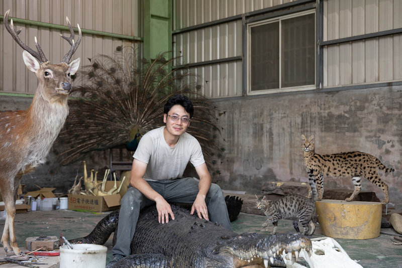 文總推出「匠人魂」第58集影片「一個人的動物園」，以標本師黃雯杰為主角，帶領觀眾一窺標本製作歷程。（文總提供）中央社記者王寶兒傳真　114年11月6日