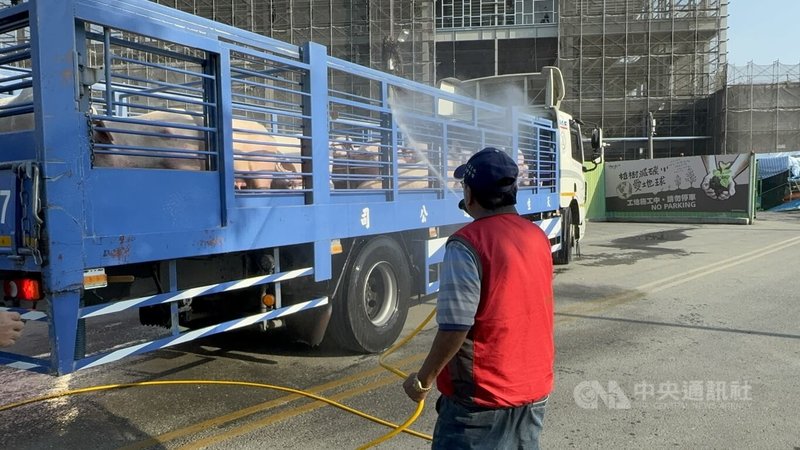雲林縣肉品市場6日指出,市場每天在作業結束後執行全面清洗與高壓噴霧消毒作業,並維持監測環境衛生,秉持「清潔、封閉、分流」3大原則,確保防疫安全與肉品品質。中央社記者姜宜菁攝 114年11月6日
