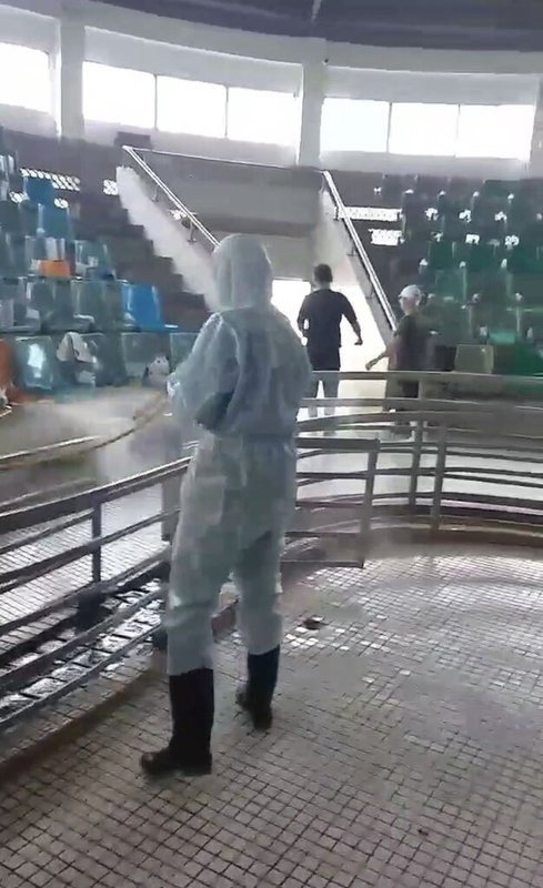 農業部宣布,活豬自6日中午12時後可恢復運送,嘉義市肉品市場6日上午進行全面清消,迎接預定進場的1500多頭肉豬。(嘉義市政府提供)中央社記者蔡智明傳真 114年11月6日