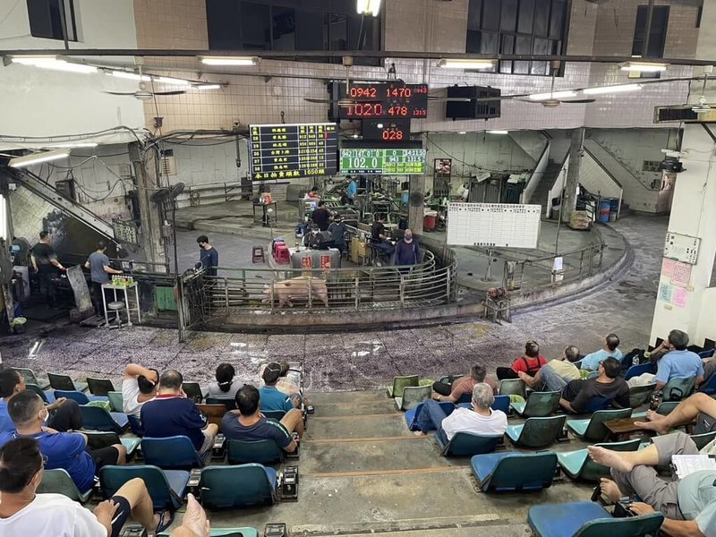 非洲豬瘟順利清零,全台活豬7日起恢復屠宰、拍賣。屏東縣肉品市場進場1658頭、屠宰1340頭,規格豬(95至155公斤)均價每公斤新台幣99.11元。(屏東縣肉品市場提供)中央社記者黃郁菁傳真 114年11月7日