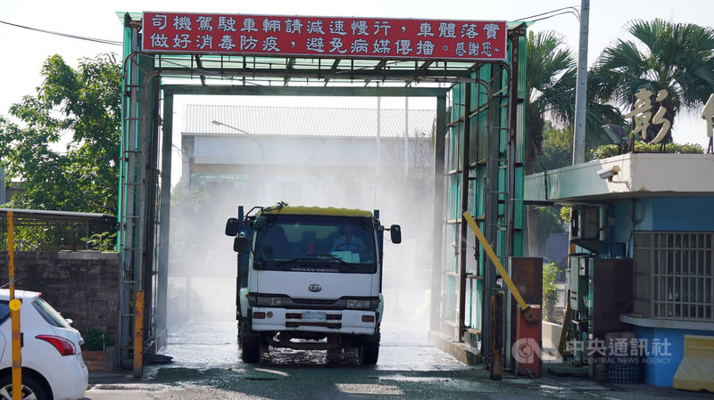 農業部解除活體豬隻禁運禁宰政策，彰化肉品市場7日上午恢復拍賣，不過為做好防疫，運豬車離開肉品市場時仍需消毒。中央社記者吳哲豪彰化攝　114年11月7日