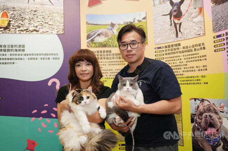 屏東縣政府舉辦第2屆「金腳印獎」寵物攝影與短影音競賽，施姓夫婦飼養的貓咪娜娜（前左）與QQ（前右）各抱回「最佳創意獎」、「就是愛現獎」，8日與主人一同出席頒獎典禮。中央社記者黃郁菁攝　114年11月8日