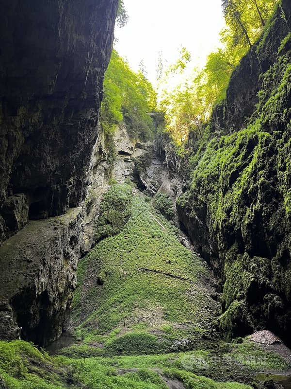 位在捷克南方的「摩拉維亞喀斯特」(Moravian Karst)的「卡捷琳娜洞穴」(Kateřinská)、「龐克瓦洞穴」(Punkva caves)與「馬科哈深淵」(Macocha Abyss),正爭取列入UNESCO世界遺產名錄。圖為「馬科哈深淵」。中央社記者劉郁葶摩拉維亞攝 114年11月8日