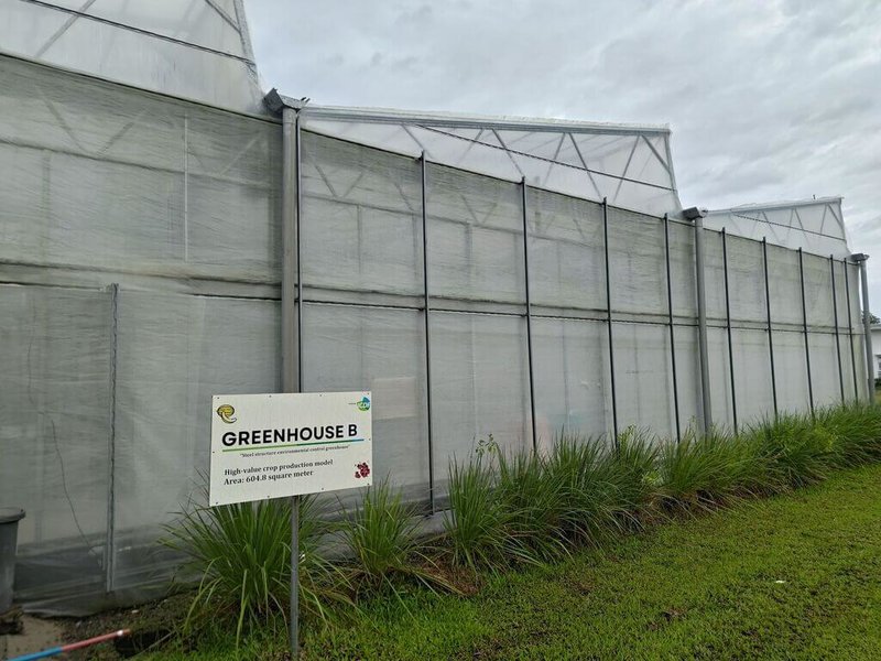 颱風「鳳凰」撲向菲律賓呂宋島，台灣示範農場位於颱風直擊路徑，高階溫室已放下側捲簾，防止強風破壞作物及設施。（台灣駐菲律賓技術團提供）中央社記者林行健馬尼拉傳真　114年11月9日