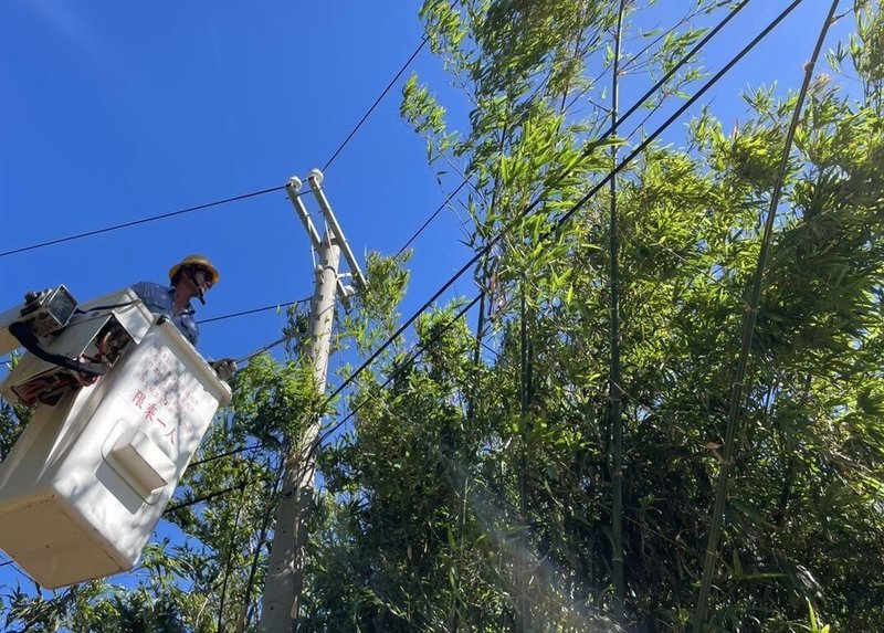 因應颱風鳳凰逐步逼近台灣，台電5日指出，啟動防颱整備作業，全面加強鄰近供電線路樹竹修剪，共部署超過4000名搶修人力。（台電提供）中央社記者蘇思云傳真　114年11月9日