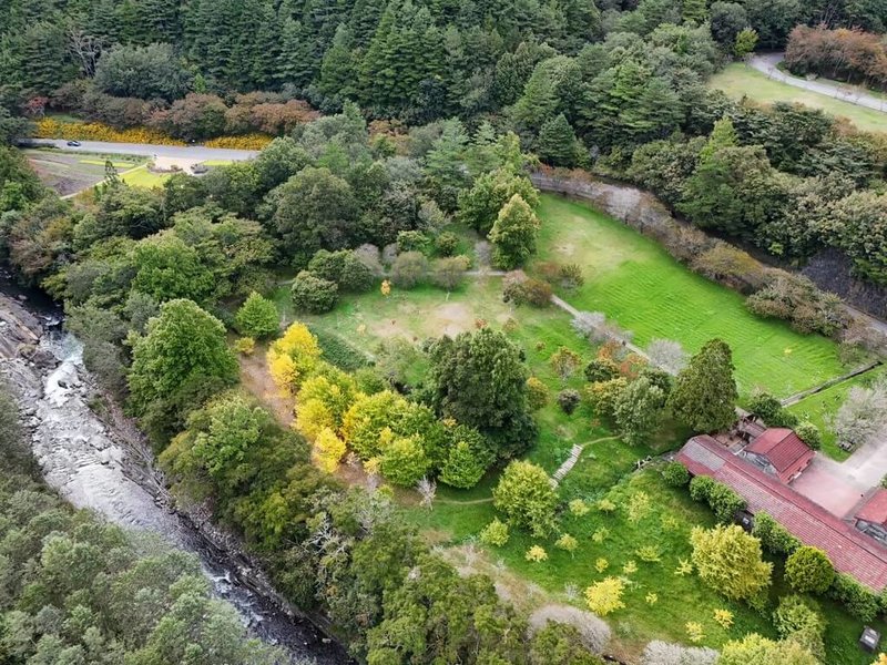 颱風鳳凰逼近，武陵農場10日公告，為確保遊客與員工人身安全，自11日下午2時起實施休園措施，場區暫停對外開放。（武陵農場提供）中央社記者郝雪卿傳真  114年11月10日