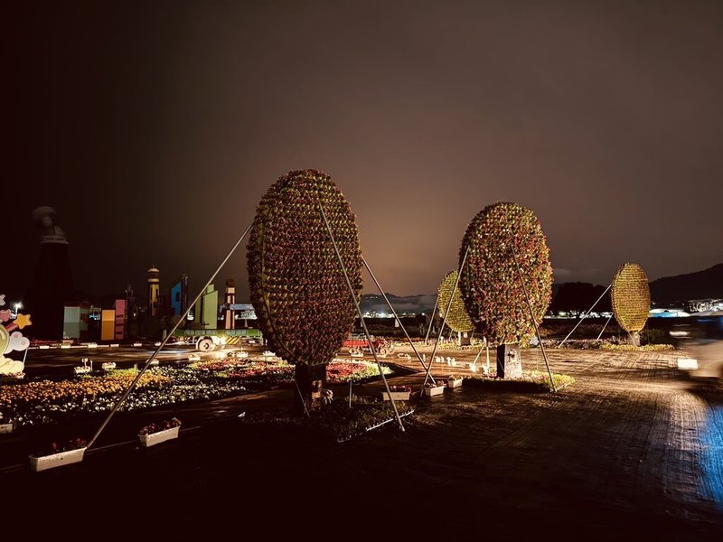 颱風鳳凰將來襲，台中市觀旅局10日宣布，正展出中的台中國際花毯節已啟動防颱措施，針對主花毯及各項裝置進行加固。（台中市政府提供）中央社記者郝雪卿傳真　114年11月10日