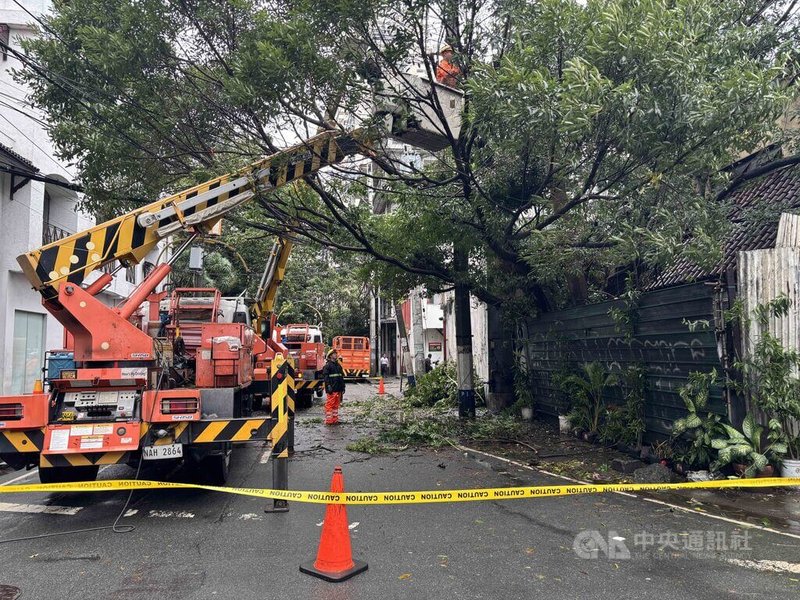 颱風「鳳凰」重創菲律賓北部的呂宋島，大馬尼拉地區也傳出災情。圖為工程人員10日上午搶修被樹木壓到的電線。中央社記者林行健馬尼拉攝　114年11月10日