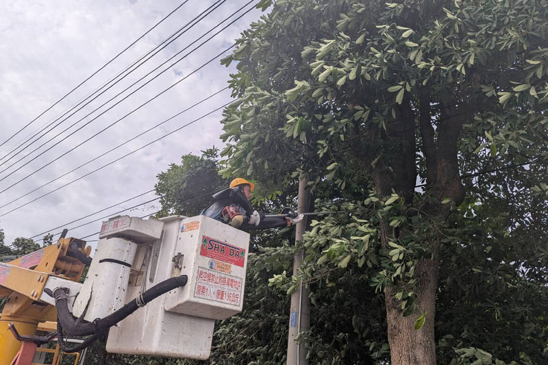 颱風鳳凰接近，台電新營區管理處啟動特別巡查，並針對電力線路沿線樹木進行巡查修剪。（台電新營區處提供）中央社記者楊思瑞台南傳真  114年11月11日