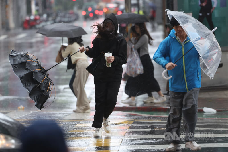 颱風鳳凰陸上警報11日清晨5時30分發布，台北市出現間歇性風雨，中正區行人的雨傘被強風吹得開花，頭髮也凌亂不已。中央社記者吳家昇攝　114年11月11日