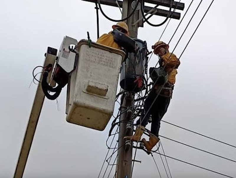 颱風鳳凰靠近台灣，苗栗縣12日出現間歇雨勢，局部地區有較大陣風。台電苗栗區營業處統計截至下午2時，曾停電戶數有578戶，主要落在沿海鄉鎮地區，均陸續派員搶修、儘速恢復供電。（台電提供）中央社記者管瑞平傳真　114年11月12日