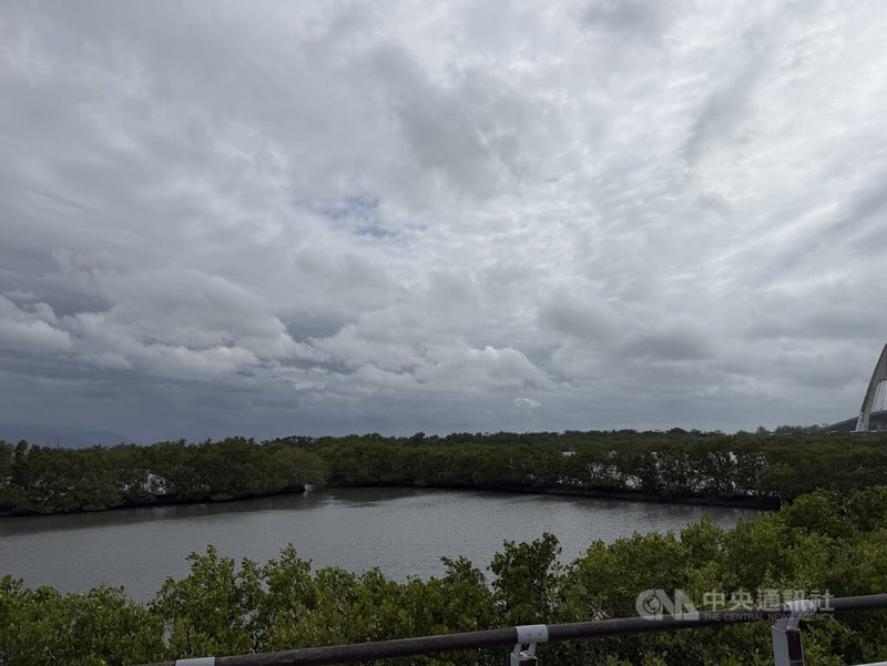 氣象署表示，颱風鳳凰持續減弱，暴風圈也縮小，未來路徑持續接近台灣西南方近海；屏東縣東港鎮12日午前沒有下雨，天氣還算穩定。中央社記者李卉婷攝　114年11月12日