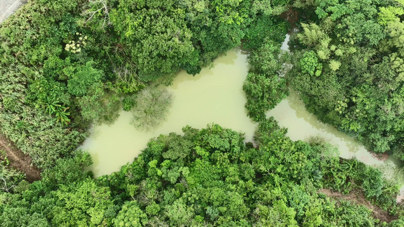 大雨造成基隆市調和街12日一度積淹水，里長發現是山凹處形成的湖泊（圖）於累積雨量後溢流所致。中正區長傅俊昇12日表示，經比對空照圖，應是先前已形成的湖泊，將會勘並積極研議改善方案。（讀者提供）中央社記者王朝鈺傳真 114年11月12日