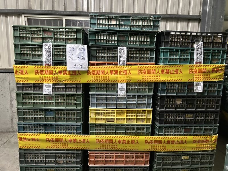 彰化縣政府13日指出，文雅畜牧場雞蛋檢出芬普尼超標，動物防疫所11日採樣場內雞隻內臟與雞蛋25件送中央畜產會檢驗，有1件蛋品驗出芬普尼代謝物0.045ppm殘留，來源仍在調查中。（彰化縣政府提供）中央社記者吳哲豪傳真　114年11月13日