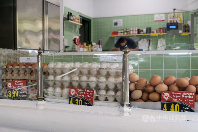 西班牙爆發禽流感疫情，蛋雞養殖業大受打擊，今年已撲殺約250萬隻蛋雞，導致雞蛋價格上揚，一打雞蛋的平均價格飆升到4歐元（約新台幣145元）。圖為馬德里一家百年雞肉與雞蛋專賣店。中央社記者胡家綺馬德里攝　114年11月13日