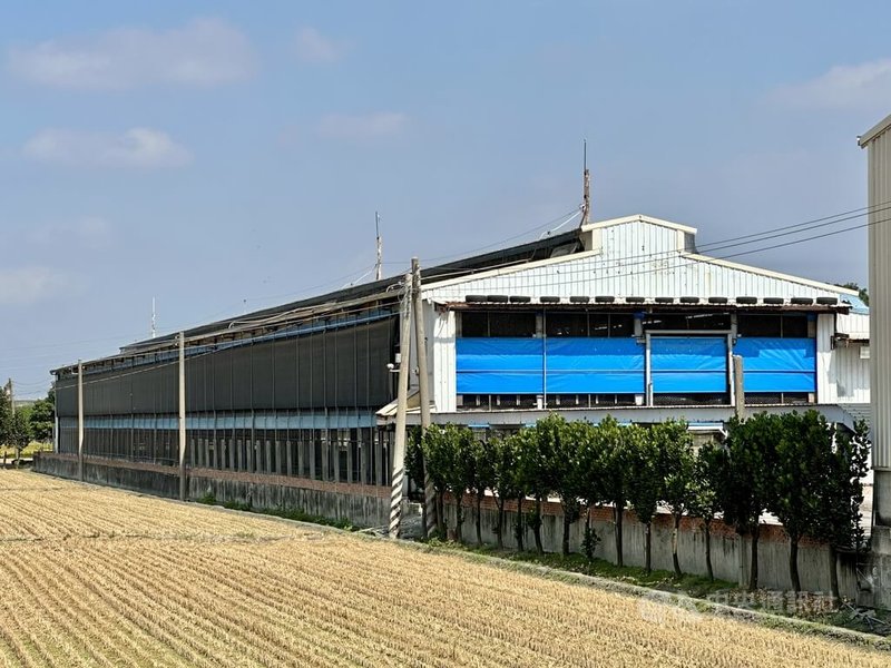 彰化文雅畜牧場雞蛋檢出芬普尼,彰化縣政府17日指出,檢察官初步同意畜牧場內的25萬顆雞蛋可銷毀,銷毀前須進行採樣流程,每日採樣保存,以備日後查驗,圖為畜牧場外觀。中央社記者鄭維真彰化攝 114年11月17日