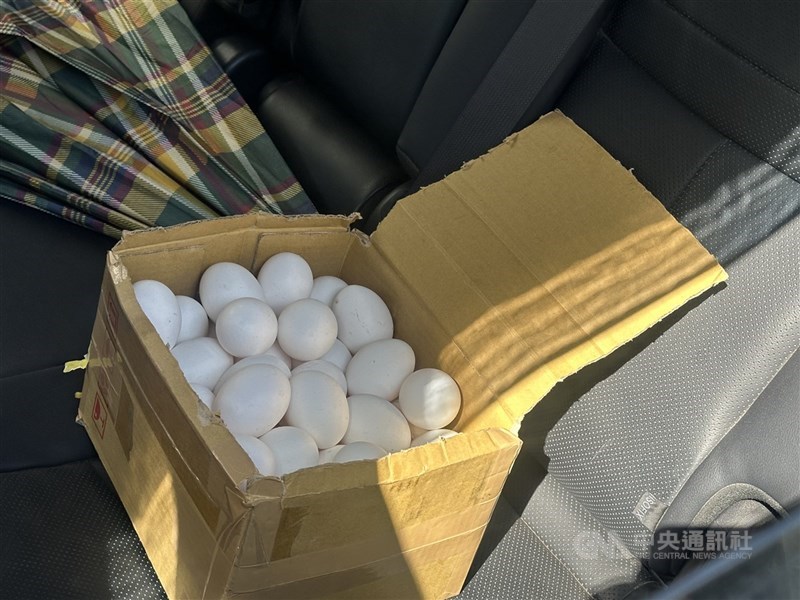 圖為台中民眾10日在梧棲區龍忠蛋行購買的雞蛋。（中央社檔案照片）