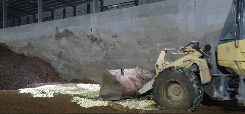 彰化文雅畜牧場雞蛋驗出芬普尼超標，彰化縣政府指出，縣府農業處、動防所等單位，17日晚上採樣後已將畜牧場內25萬顆雞蛋銷毀，畜牧場內的雞隻也已停止產蛋。（彰縣府提供）中央社記者吳哲豪傳真 114年11月18日