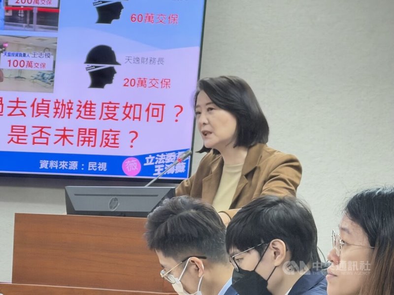 太子集團涉跨國詐欺洗錢，國民黨立法委員王鴻薇（圖）表示，經濟部機關失職，導致空殼公司來台洗錢買豪宅等，渾然不知，建議法務部整合打詐團隊，以此例做檢討。中央社記者劉世怡攝 114年11月19日