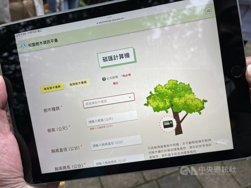 台北市教育局說，校園種植樹木可提供碳匯，抵減用電等碳排，丈量每種樹的130公分高處的樹胸圍，以及數高，輸入教育部提供的校園樹木資訊平台，即可算出碳匯。中央社記者楊淑閔攝 114年11月19日