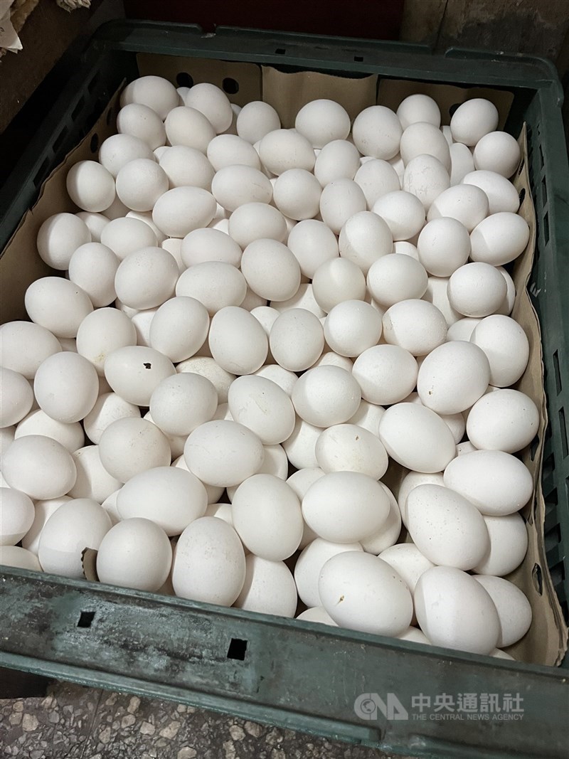 蛋價每台斤漲2元。（中央社檔案照片）