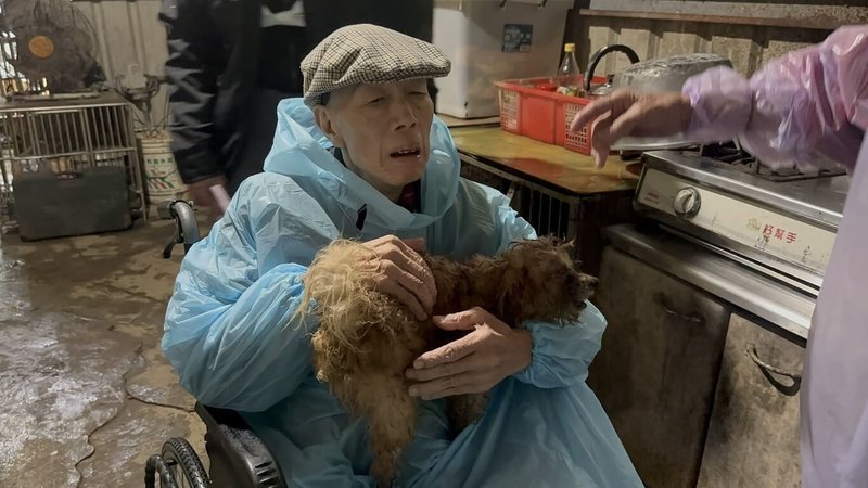 天主教耕莘醫院表示，長年投入動物保護的71歲高伯伯因罹患癌症末期住院數月，但心中仍掛念流浪狗們，18日在院方安排下，高伯伯回到狗園，輕撫腿上的愛犬「熊熊」，彼此安靜陪伴。（天主教耕莘醫院提供）中央社記者曹亞沿傳真　114年11月19日