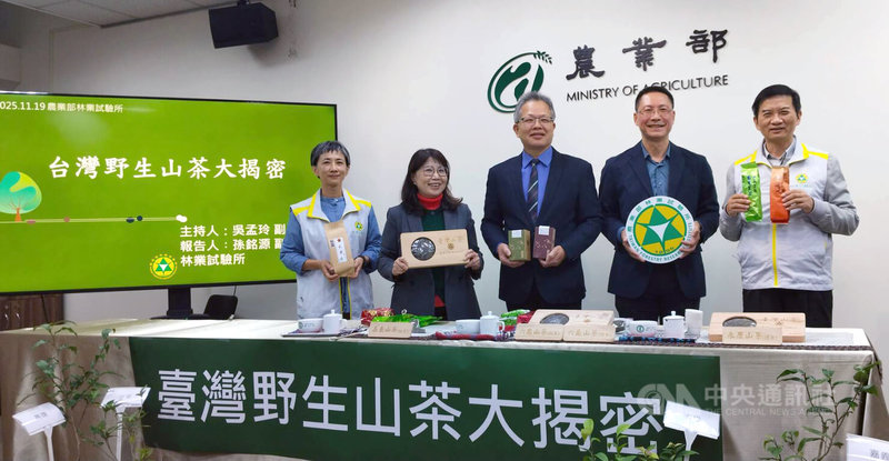 農業部林業試驗所19日舉行記者會，介紹屬於台灣原生物種、也是唯一可以製成茶飲的台灣山茶，綜合獨特松露香、柑橘香與花香，具更好的抗氧化能力，正全力推廣。中央社記者汪淑芬攝　114年11月19日