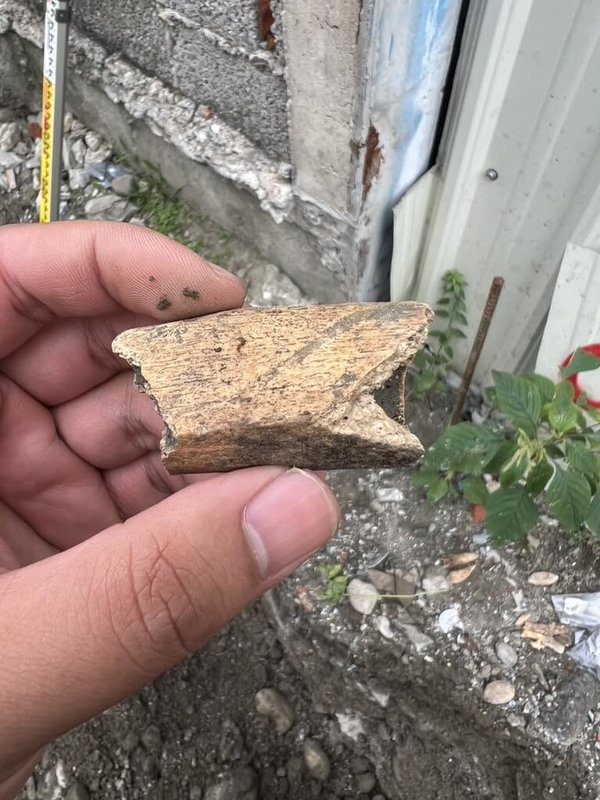 花蓮縣吉安鄉仁里五街一處住宅改建，疑挖到年代逾40年的人骨。文化局表示，下月將由國立清華大學專精人骨的學者現勘，決定是否要透過碳鑑定等方式確認年代。（花蓮縣文化局提供）中央社記者張祈傳真　114年11月19日
