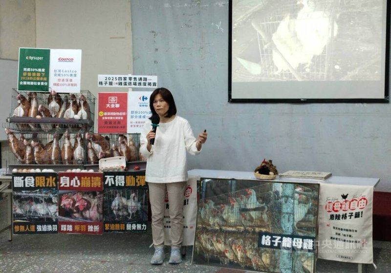 台灣動物社會研究會20日舉行記者會，提倡國際趨勢的非籠飼雞蛋，副執行長陳玉敏說，「格子籠飼養」不僅帶給母雞嚴重的身心折磨，更不利食品安全與人類永續健康。中央社記者汪淑芬攝   114年11月20日