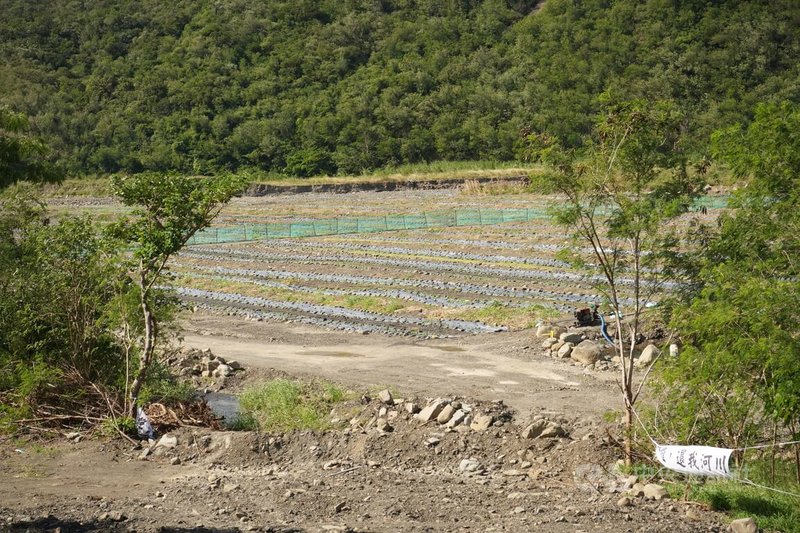 屏東縣楓港溪等處河床種植西瓜已行之有年，由於施肥異味會引來大量蒼蠅，讓鄰近居民實在不堪其擾。中央社記者黃郁菁攝　114年11月20日
