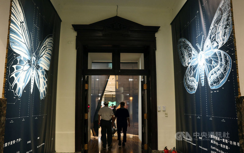 國立台灣博物館「島嶼飛行－台灣蝶蛾生存記」特展持續展出，展覽以台灣約5200種蝶蛾為主角，集結近300件蝶蛾標本，並搭配高畫質生態影像與互動裝置，帶領觀眾探索蝶與蛾的繽紛世界。中央社記者郭日曉攝　114年11月24日