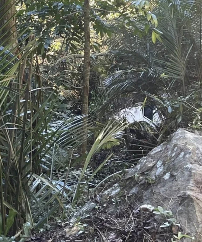 南投縣國姓鄉李姓男子今年10月初駕駛小貨車外出後失聯，小貨車23日在草屯鎮山茶巷下方溪谷被發現。警方表示，由於男屍面貌已難以辨認，雖車牌號碼相符，死者身分仍待檢方相驗確認。（民眾提供）中央社記者吳哲豪傳真　114年11月24日