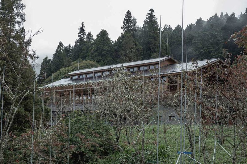 阿里山國家森林遊樂區「從森林到森林」裝置藝術展覽在25日開展，沼平公園室外展區主題為「聚落的印記」，透過四角標竿標示沼平聚落火災前的生活面貌。展覽為期一年。（林保署嘉義分署提供）中央社記者蔡智明傳真　114年11月25日