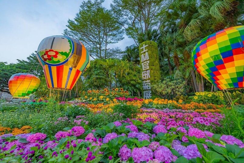 2025士林官邸菊展28日熱鬧舉辦開幕式，台北市政府工務局公園路燈工程管理處預估花海會在12月後陸續盛開，歡迎民眾走訪參觀。（公園處提供）中央社記者陳昱婷傳真　114年11月28日