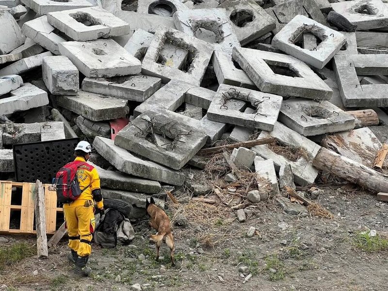 內政部29日表示，2025年國家MRT搜救犬救援能力認證活動昨天閉幕，共有16組搜救犬與領犬員達「任務準備就緒（Mission Ready）」的國際標準。（內政部提供）中央社記者賴于榛傳真　114年11月29日