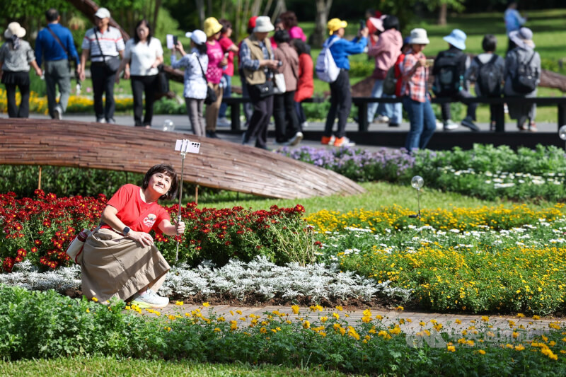 11月29日、30日的週末全台天氣大致晴朗舒適，圖為參觀台北市士林官邸菊展的民眾。中央社記者吳家昇攝 114年11月30日