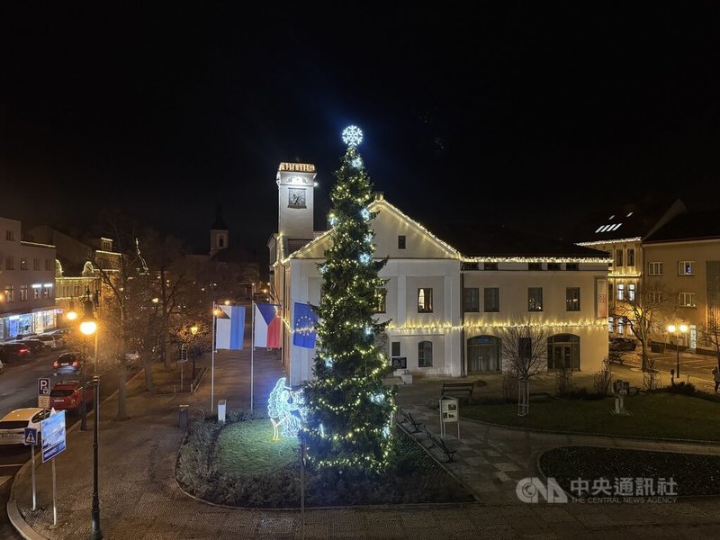 耶誕樹作為耶誕節的象徵,據統計,捷克人每年在耶誕樹上花費超過5億克朗,捷克每年銷售多達150萬棵耶誕樹。中央社記者劉郁葶布拉格攝 114年12月3日